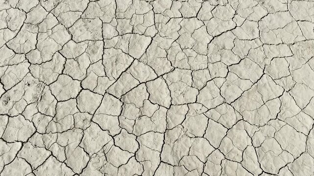 Racetrack Playa Cracked Mud Surface Texture Close-Up