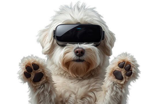 White dog experiencing virtual reality, wearing a vr headset, with paws up and transparent background