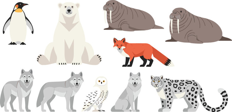 Arctic and Wild Animals Collection with Polar Bear Fox Wolf Penguin Vector Illustration Set