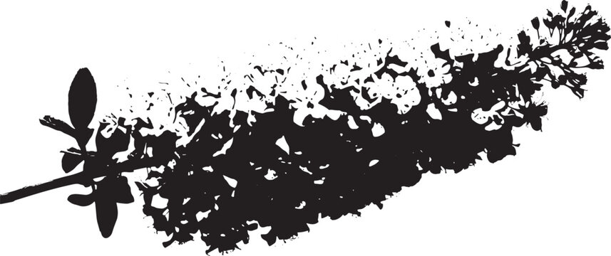 A high contrast black silhouette of a blooming buddleia flower spike on a clean white background