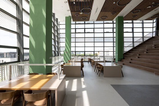 Modern library reading area with green columns large windows and open interior space