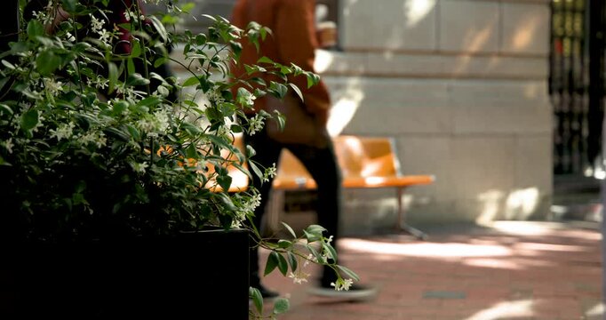 Pedestrians entering walking past planter on brick path, passing orange bench en route, copy space