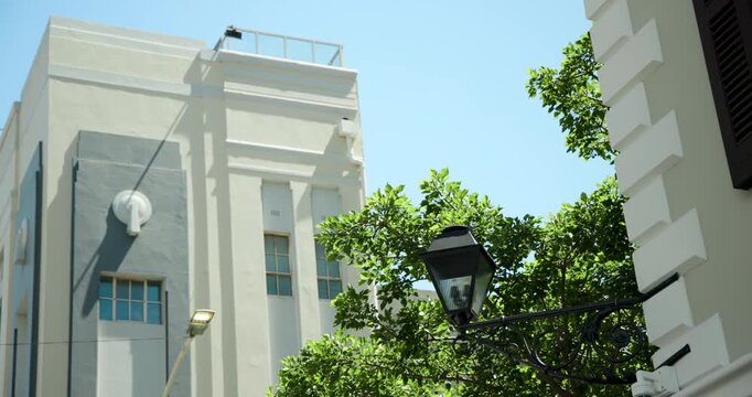Camera tilting upward on street, revealing sky, breeze causing leafy tree swaying by black lamp