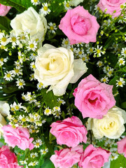 Fototapeta premium Beautiful bouquet of pink and white roses with morning dew drops. Fresh floral arrangement featuring white daisies and green leaves. Romantic wedding or Valentine background.