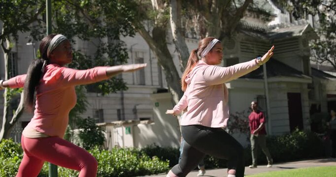 African American women following cue, practicing yoga in sync on pink mats in park for fitness