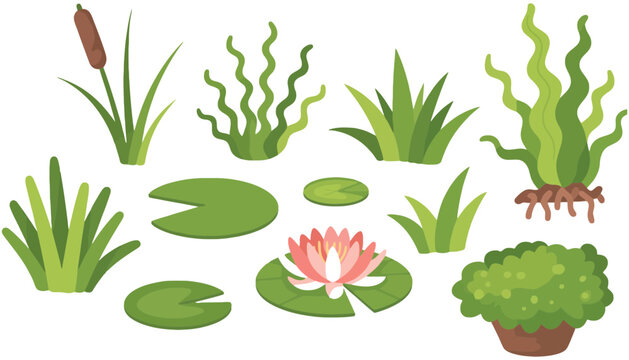A flower vector illustration of a pond with various plants and a lily pad