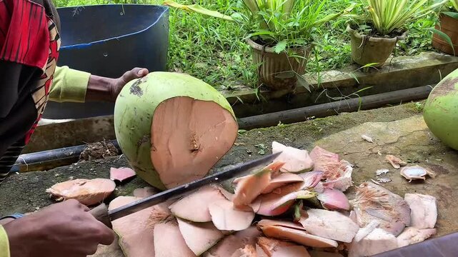 tropical, coconut, fruit, food, fresh, background, exotic, white, natural, healthy, coco, nut, organic, diet, nature, vegetarian, brown, half, isolated, cut, nutrition, ingredient, summer, milk, shell