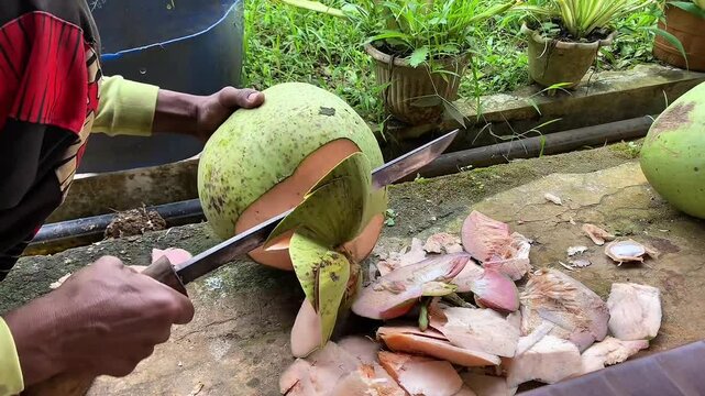 tropical, coconut, fruit, food, fresh, background, exotic, white, natural, healthy, coco, nut, organic, diet, nature, vegetarian, brown, half, isolated, cut, nutrition, ingredient, summer, milk, shell