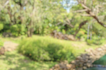Naklejka premium Abstract blur green park garden for background