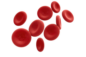 Fototapeta premium Red blood cells flowing in a clear bloodstream showing erythrocytes, human health, and scientific biology research