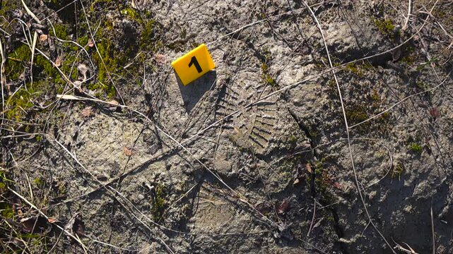 Yellow forensic marker highlights a clear boot print in wet spring mud with natural texture and outdoor detail