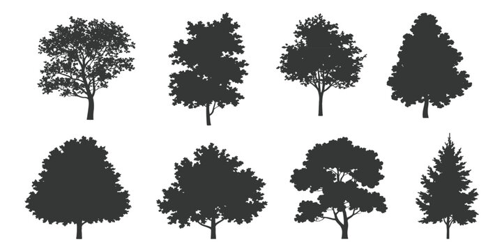 Tree silhouette icon collection set of graphics trees elements outline symbol for architecture of silhouettes of trees .landscape, and urban design projects, in vector design