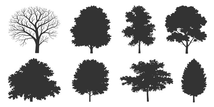 Tree silhouette icon collection set of graphics trees elements outline symbol for architecture of silhouettes of trees .landscape, and urban design projects, in vector design