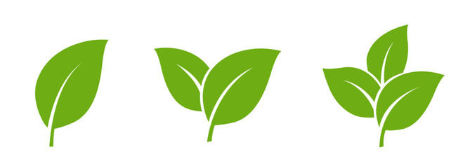 Fototapeta premium Green Leaf icon Set, Minimal Nature Plant leaves Logo Collection, Modern Symbol Set of Single one, two and three Fresh Organic Leaves Vector isolated on Transparent Png White background