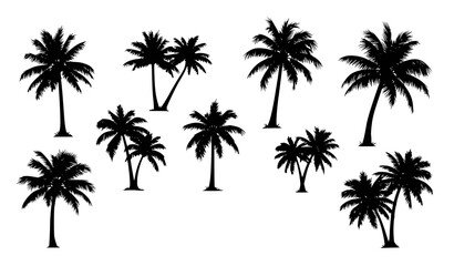 Fototapeta premium Palm tree silhouette collection with text palm trees tropical vector illustration isolated on white background