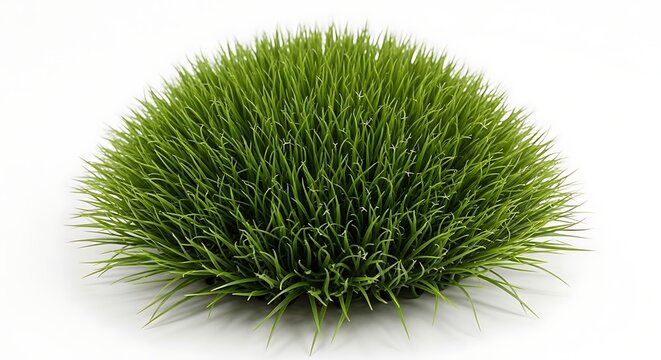 Lush green moss cluster growing on a neutral surface