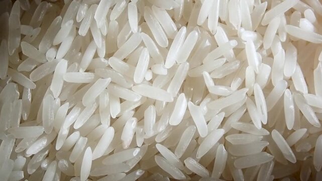 Close up of raw white long grain rice