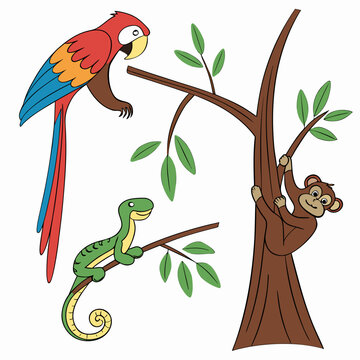 A colorful parrot, a monkey and a snake in a tree