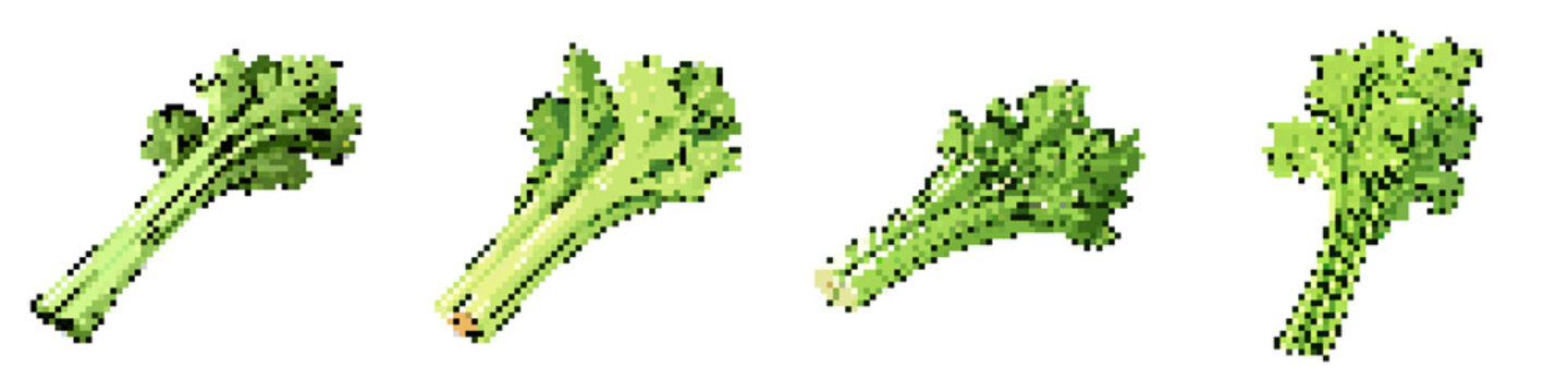 Celery pixel icon set. retro, pixelated 2d graphics for games and apps