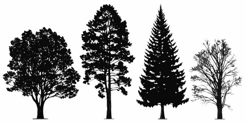 Silhouettes of four different tree types against a white background © Rina