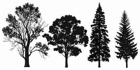 Fototapeta premium Silhouetted trees of varying species against a white background