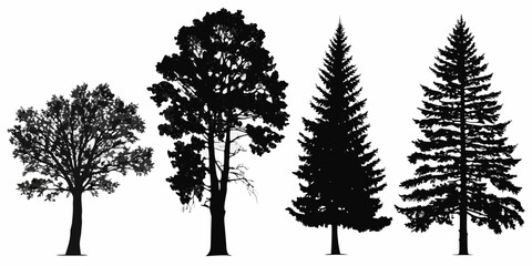 Fototapeta premium Silhouettes of four diverse trees against a stark white background