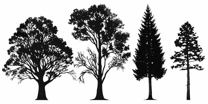 Silhouettes of various trees against a stark white background
