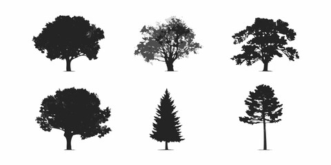Collection of six silhouetted trees in varying shapes and sizes © Rina