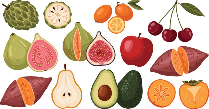 Realistic Fruit and Vegetable Vector Illustration Set Featuring Custard Apple, Fig, Guava, Avocado, Cherry, and Sweet Potato for Grocery and Cooking Designs