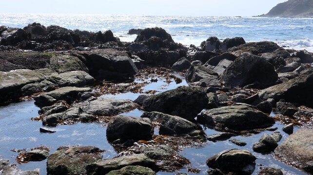 Close-up of coastal tide pools and rocks covered with seaweed at El Tebo beach, Chile