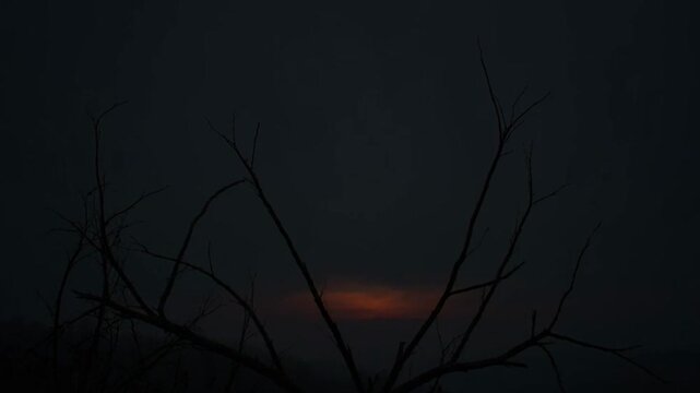 Silhouettes of bare tree branches against a dusky orange sunset sky