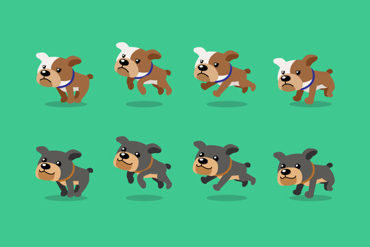 Vector cartoon character bulldog running step