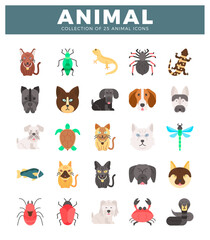 Obraz premium animal icons in a grid on a white background