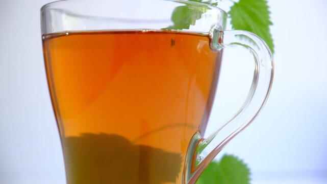 Cup of tea, decoction with fresh stinging nettle. Alternative medicine. Herbal tea. Detox. Homeopathy medicine remedies. Space for text