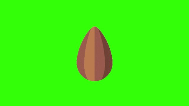 vector illustration of a walnut