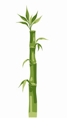 Naklejka premium Vibrant green bamboo stalk with lush leaves illustrating nature's elegance and resilience in an isolated white background