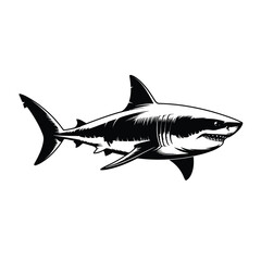 Fototapeta premium A black and white illustration of a shark swimming in the ocean