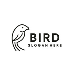 Obraz premium bird logo design template vector illustration