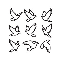 Fototapeta premium Flying Dove Bird Outline Vector Set | Peace Freedom Line Art Icons