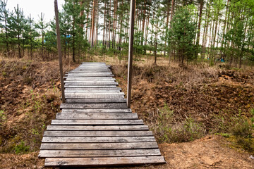 Obraz premium A charming wooden bridge stretches across a small ravine, inviting adventurers to explore the tranquil forest beyond. Green pines tower on both sides, creating a peaceful outdoor haven.
