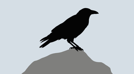Fototapeta premium Silhouette of a black crow or raven perched on a grey rock against a light background.