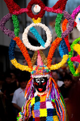 Obraz premium Portrait of a Boteiro showing intricate clothing and paper pompom details