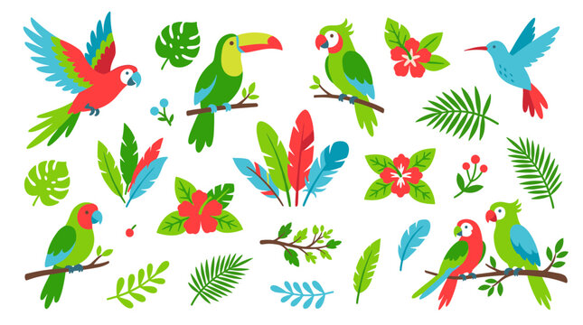 Vibrant tropical birds and exotic jungle foliage collection, colorful parrots toucan hummingbird and palm leaves, paradise nature elements for design
