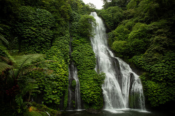 Obraz premium Water cascades down a tall cliff surrounded by green plants