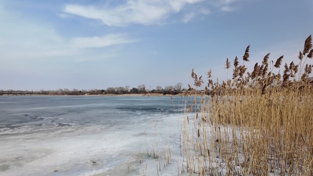 Sunny winter day on a riverbank. Cinematic slow-motion high-resolution footage capturing the serene beauty of frozen nature.