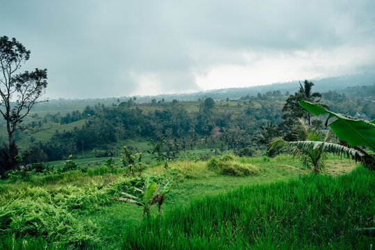 Green vegetation everywhere in the mountains