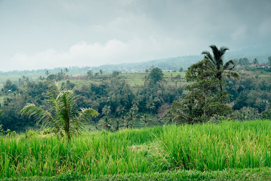 Breathtaking scenery with the lush tropical vegetation in the mountains