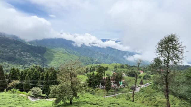 Natural diversity of Darjeeling tea gardens. Due to the high and low land, rainwater does not accumulate at the base of the tea tree, which is ideal for the tree's, Darjeeling tea is world famous.