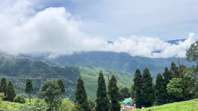 Natural diversity of Darjeeling tea gardens. Due to the high and low land, rainwater does not accumulate at the base of the tea tree, which is ideal for the tree's, Darjeeling tea is world famous.