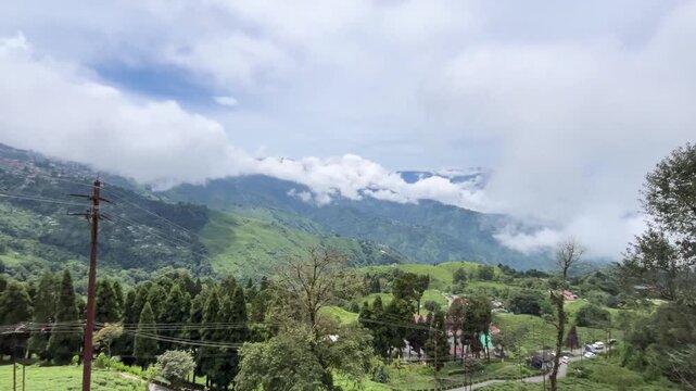 Natural diversity of Darjeeling tea gardens. Due to the high and low land, rainwater does not accumulate at the base of the tea tree, which is ideal for the tree's, Darjeeling tea is world famous.
